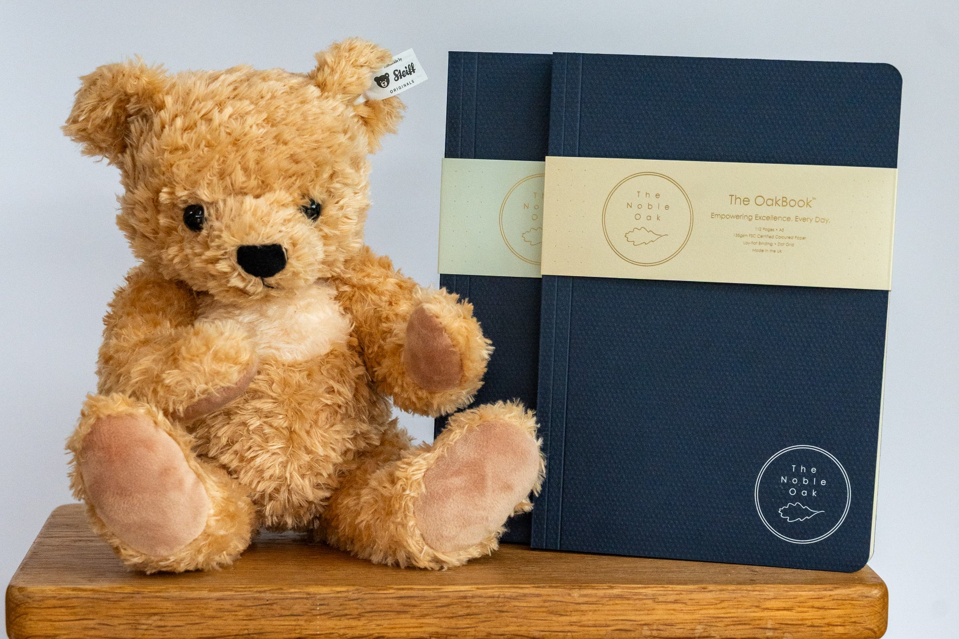 Teddy bear and two blue notebooks with visible branding on a wooden surface.
